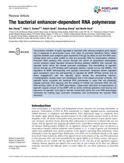 The bacterial enhancer-dependent RNA polymerase