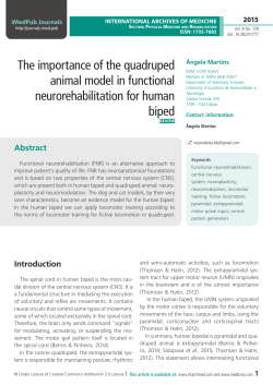 The importance of the quadruped animal model in functional