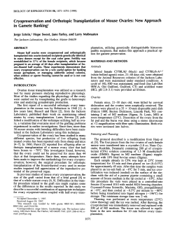 Cryopreservation and Orthotopic Transplantation of Mouse Ovaries