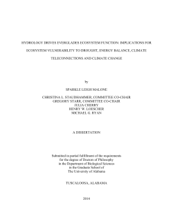 hydrology drives everglades ecosystem function