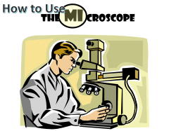 How to Use a Microscope.
