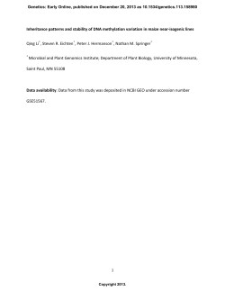 Inheritance patterns and stability of DNA methylation