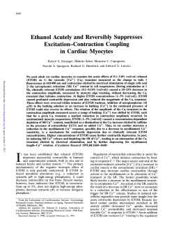 Ethanol Acutely and Reversibly Suppresses Excitation