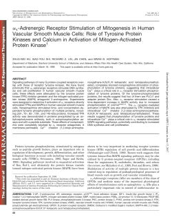 -Adrenergic Receptor Stimulation of Mitogenesis in Human Vascular