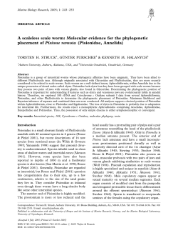 A scaleless scale worm: Molecular evidence for