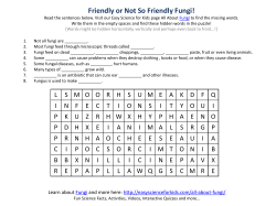 Friendly or Not So Friendly Fungi!