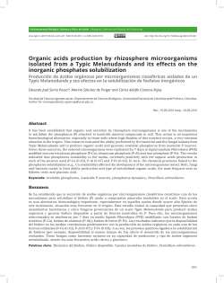 Production of organic acids by rhizosphere microorganisms isolated