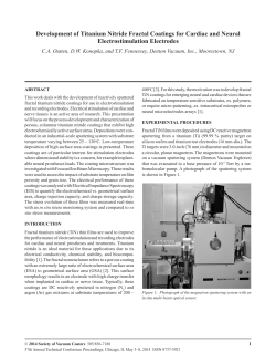 Development of Titanium Nitride Fractal Coatings