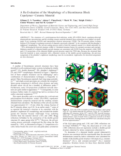 A Re-Evaluation of the Morphology of a Bicontinuous Block