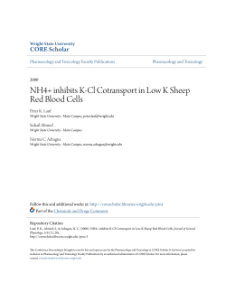 NH4+ inhibits K-Cl Cotransport in Low K Sheep Red Blood Cells