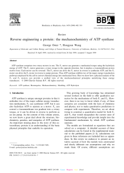 Reverse engineering a protein: the mechanochemistry of ATP