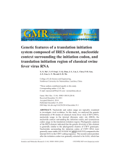 Genetic features of a translation initiation system composed of IRES