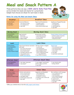 Meal and Snack Pattern A