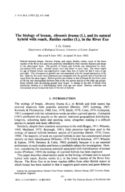 The biology of bream, Abramis brama (L), and its natural hybrid with