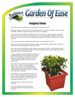 Sunleaves Garden of Ease Instructions