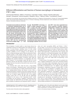 Efficient differentiation and function of human macrophages in