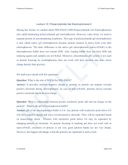 Lecture 10: Polyacrylamide Gel Electrophoresis