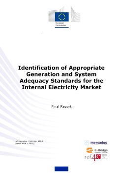 Identification of Appropriate Generation and System Adequacy