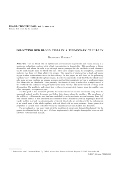 Following red blood cells in a pulmonary capillary.