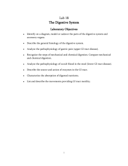 Lab 18 The Digestive System