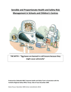 Sensible and Proportionate Health and Safety Risk Management in