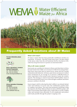 Frequently Asked Questions about Bt Maize - WEMA