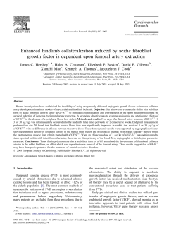 E nhanced hindlimb collateralization induced by acidic fibroblast