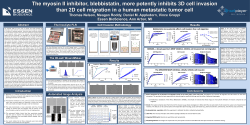 The myosin II inhibitor, blebbistatin, more