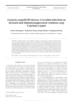 Full text in pdf format