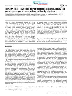 Poly(ADP-ribose) polymerase-1 (PARP-1)