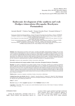 Embryonic development of the southern surf crab