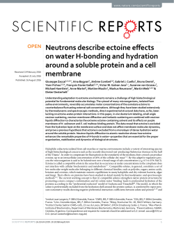 Neutrons describe ectoine effects on water H
