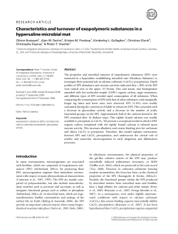 PDF - Oxford Academic - Oxford University Press