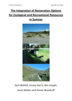 Spatial integration of key natural environment recovery