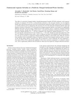 Femtosecond Aqueous Solvation at a Positively Charged Surfactant