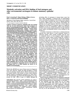 Metabolic activation and DNA binding of food mutagens and other