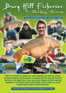 2009 NEW BROCHURE:Layout 1