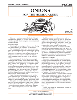 MF761 Onions for the Home Garden