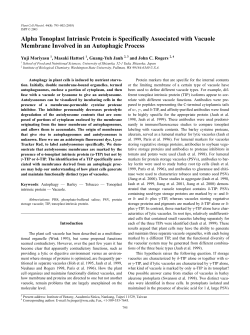 Alpha Tonoplast Intrinsic Protein is Specifically Associated with