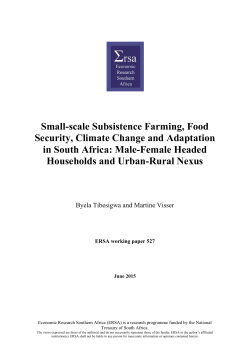 Small-scale Subsistence Farming, Food Security, Climate Change