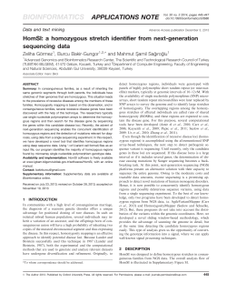 HomSI: a homozygous stretch identifier from next