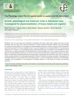 Growth, physiological and molecular traits in