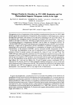 Nitrogen Fixation by Gloeothece sp. PCC 6909: Respiration and Not