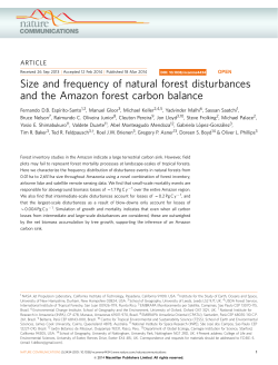 Size and frequency of natural forest disturbances and the