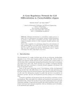 A Gene Regulatory Network for Cell Differentiation