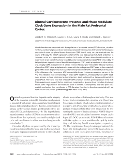 Diurnal Corticosterone Presence and Phase Modulate Clock Gene