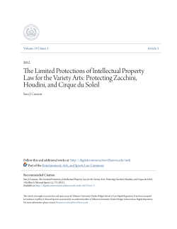 The Limited Protections of Intellectual Property