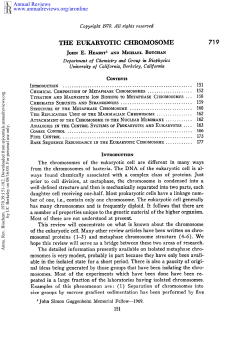 The Eukaryotic Chromosome