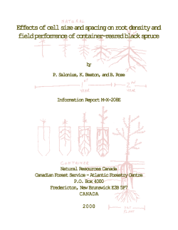 Effects of cell size and spacing on root density and field