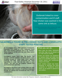 Raw Chicken and Lettuce
